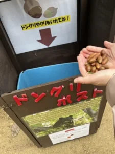 いー岩手インフォメーション | 可愛いリス どんぐりポスト 盛岡市動物公園 盛岡市