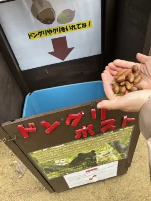 いー岩手インフォメーション|可愛いリス どんぐりポスト 盛岡市動物公園 盛岡市